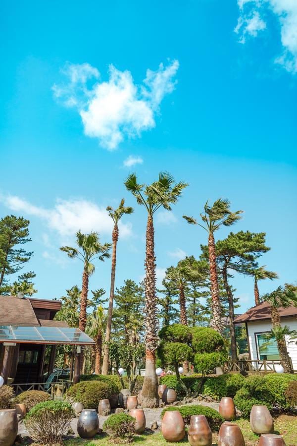 Bijarim Resort Jeju Dış mekan fotoğraf